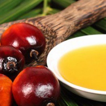Palm Yağı Zararlı mı?